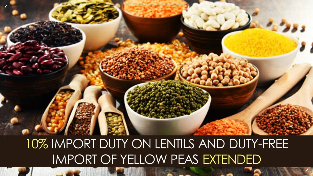 CBIC Imposes 10% Import Duty On Lentils, Extends Duty-free Import of Yellow Peas [Read Notification]