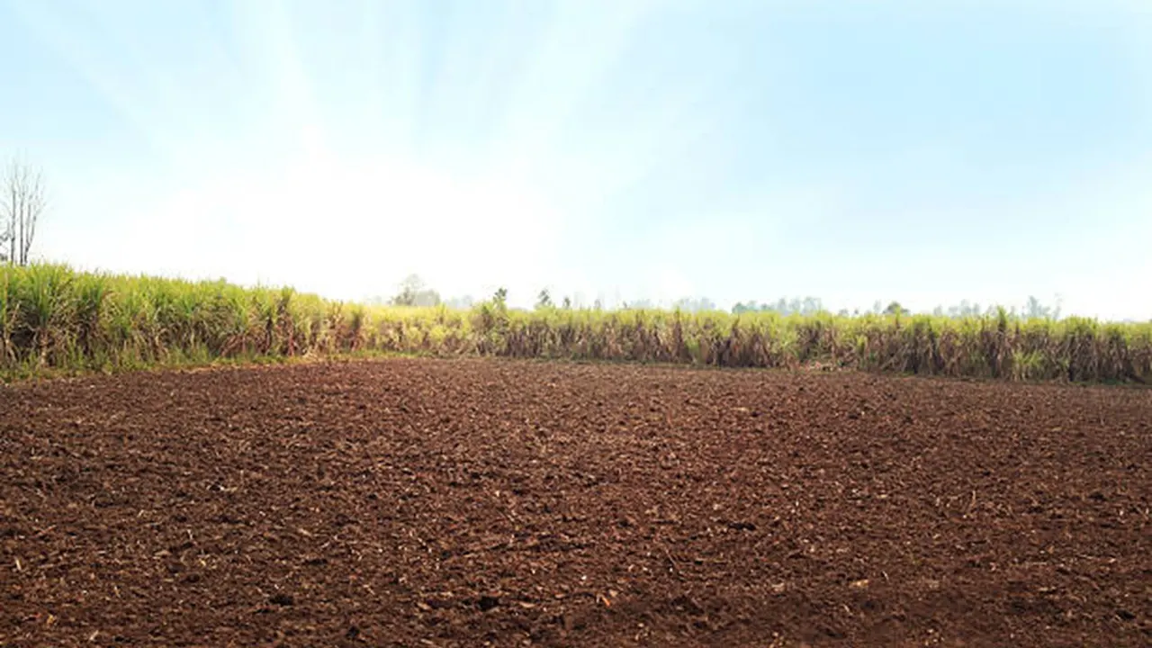 ITAT Upholds Section 263 Revision: FMV of Land Valuation Found Unsupported and Unverified