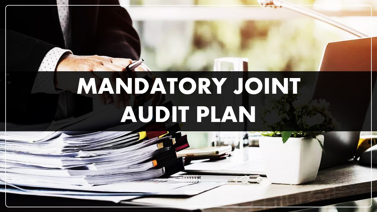 Govt will consider mandatory joint Audit Plan for Big Companies