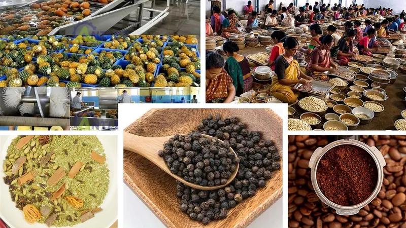 GST Cuts to Boost Kerala’s Spice, Coir, and Food-Processing Industries