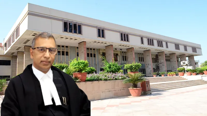 HC Says No Retrospective Withdrawal of Export Benefits; TMA Incentives Restored for Chilli Exporters