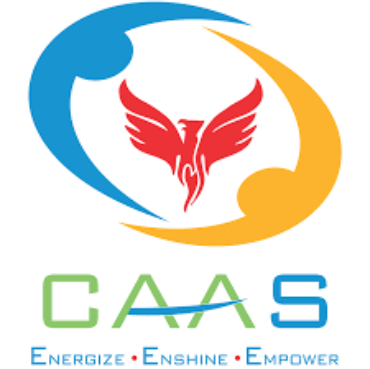 Impose Penalty on persons falsely representing as CA: CAAS