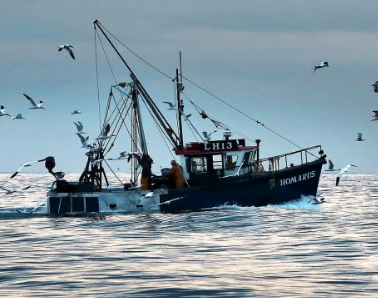 GST rate of 5% is applicable on parts of fishing vessels : AAR