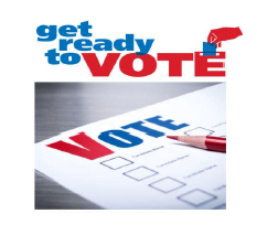 ICAI Elections 2018 : Recording of vote to be done in Arabic numerical numbers only [ i.e. 1, 2 and so on]