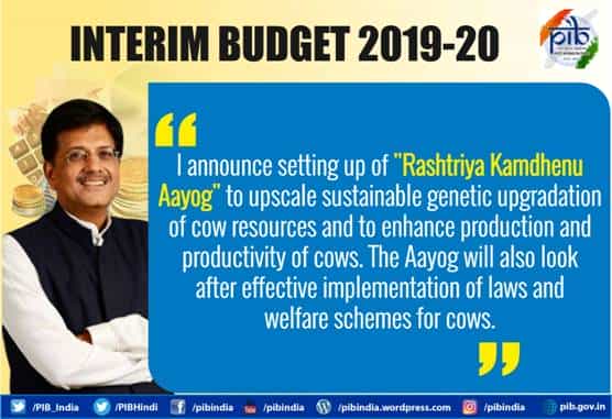 Budget Summary with Major Highlights of The Interim Budget 2019-20