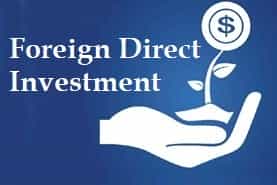 Entities into which Foreign Direct Investment can be made