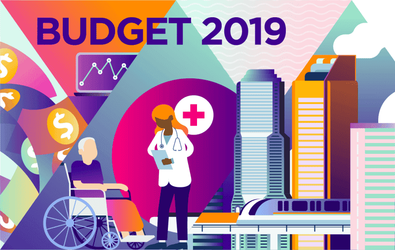 Will the new Finance Minister cut Tax rate for large companies from the current 30 % to 25 % in the budget 2019