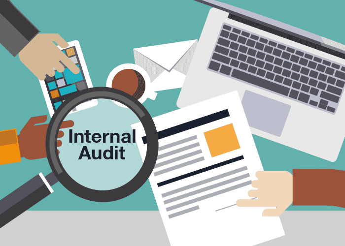 What is the need of internal audit in any organization