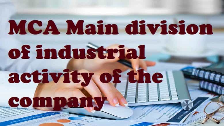 MCA Main division of industrial activity of the company