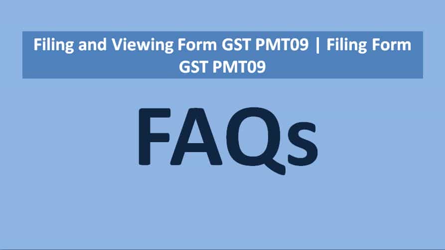 Filing and Viewing Form GST PMT09 | Filing Form GST PMT09