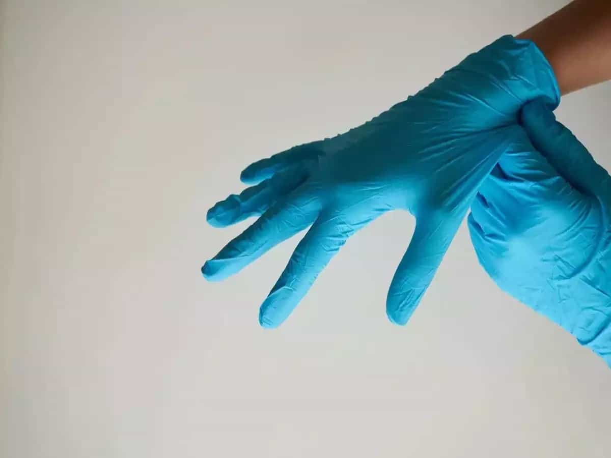 Export Policy amended for easy export of Nitrile/NBR Gloves