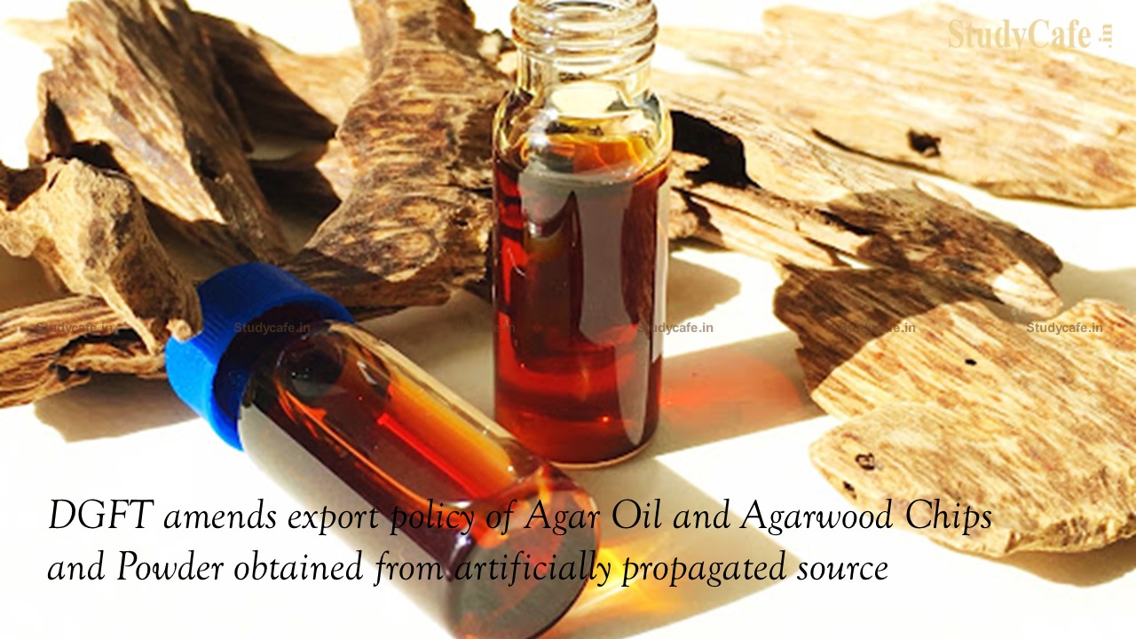 DGFT amends export policy of Agar Oil and Agarwood Chips and Powder obtained from artificially propagated source