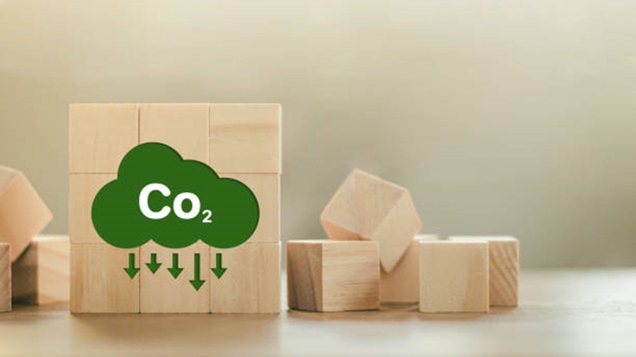 Income from Carbon Credits Trading - Income Tax Implication of Sale of Carbon Credits