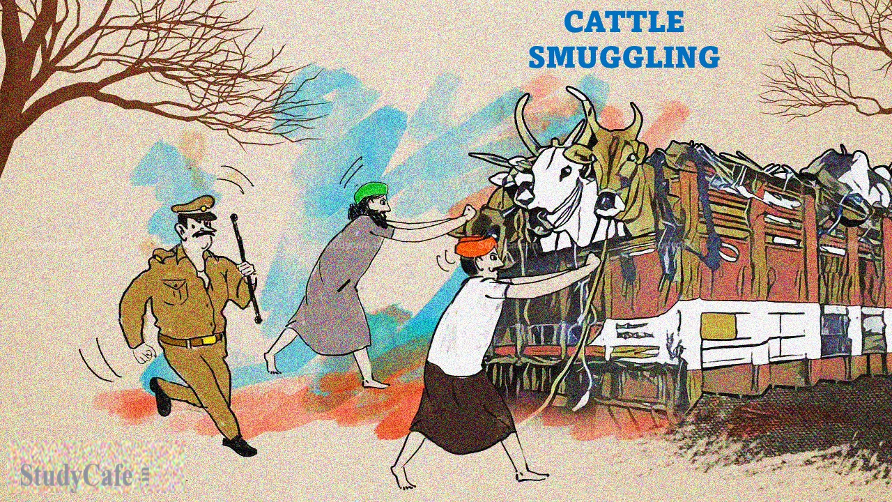 Directorate of Enforcement attached assets worth Rs. 5.79 Crore in cattle smuggling