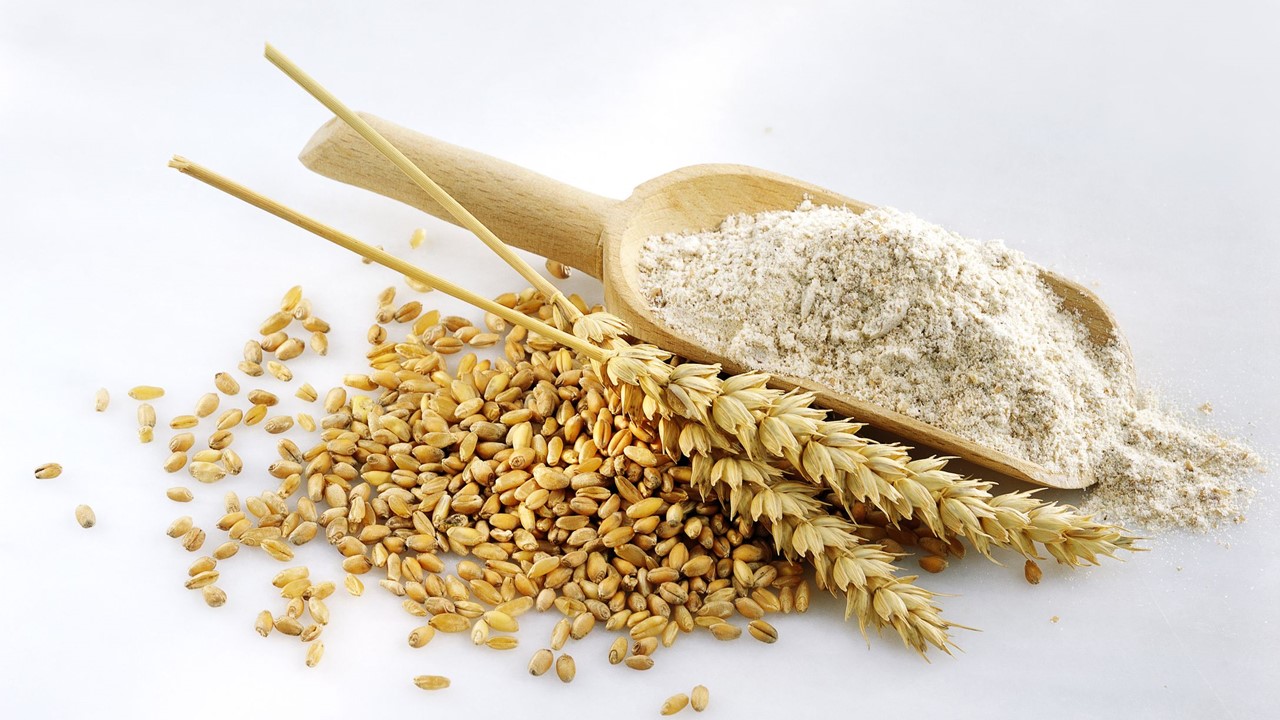 DGFT Amends Export Policy of Wheat Flour