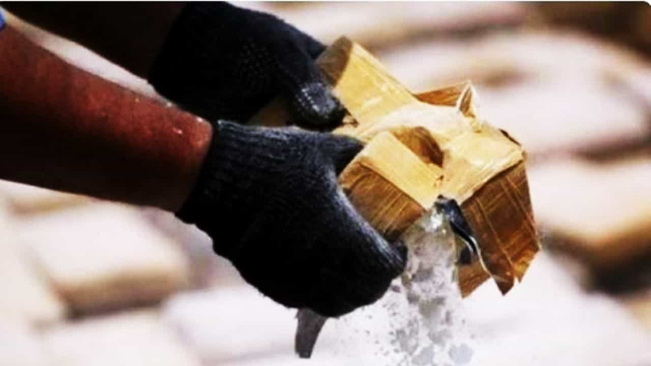 Central Bureau of Narcotics seizes 272 kg illicit Opium worth Rs.14 crore from Inter-State Drug Cartels