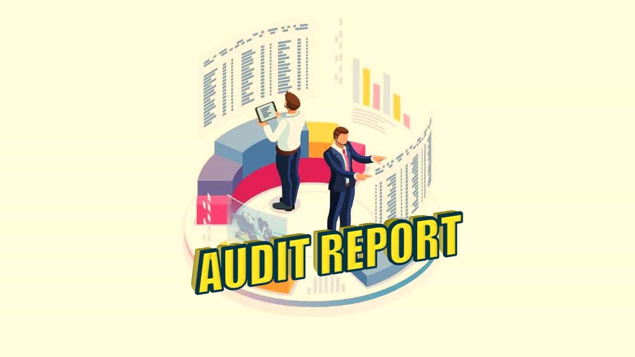 CAG Report Disclosed significant errors and irregularities in Corporation Tax Assessments