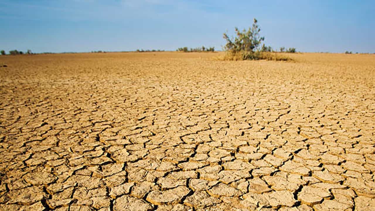 Non conduct of agricultural activity because of insufficient rain: Exemption on Sale of Agricultural Land allowed