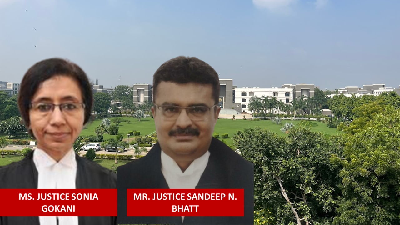 Court Quashes provisional attachment of Bank account made without issuance of FORM DRC-01A