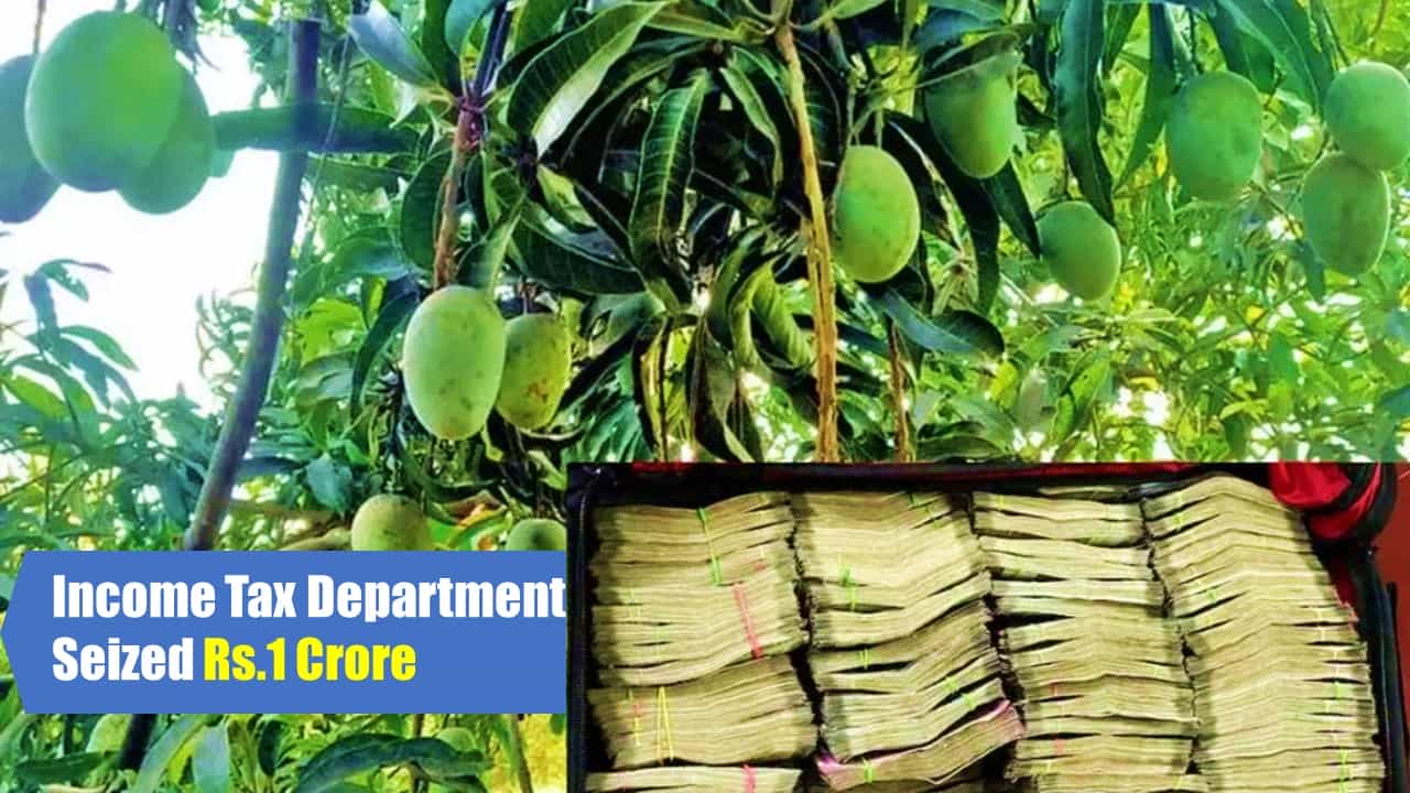 Income Tax Department Seized Rs.1 Crore hidden in Mango Tree; Karnataka Congress leader's brother came under IT scanner ahead of polls