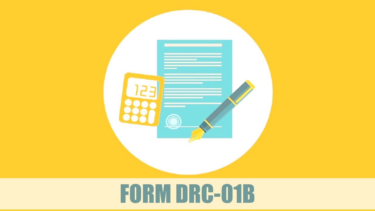 GSTN Portal enabled Form DRC-01B
