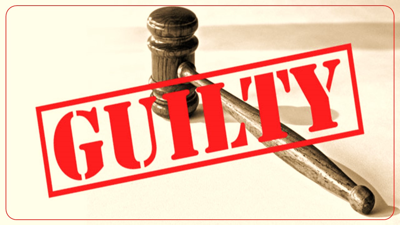 CA guilty of Misconduct for signing BS and P&amp;L without doing Real Audit