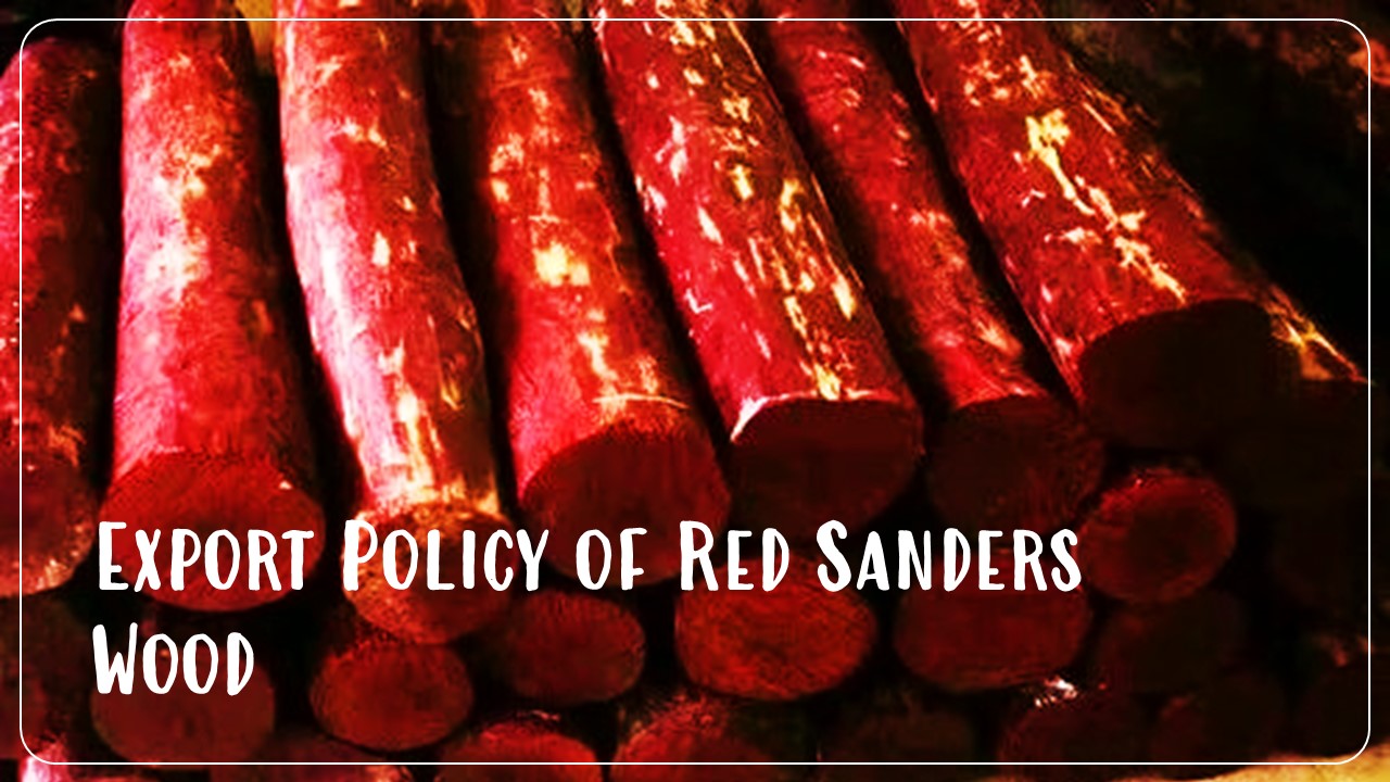DGFT Amends Export Policy of Red Sanders Wood