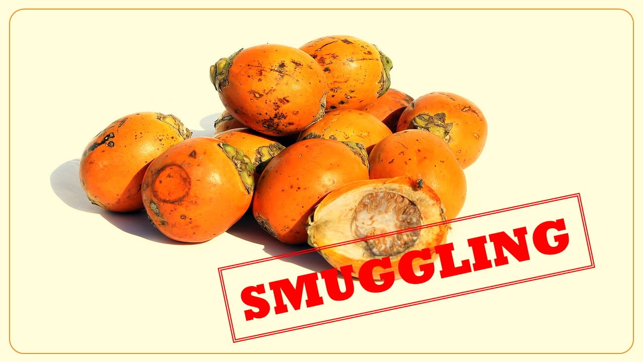 DRI busts gang involved in illegal Smuggling of Areca Nuts; Arrests five persons