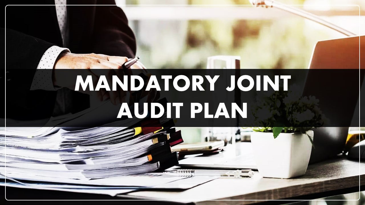 Govt will consider mandatory joint Audit Plan for Big Companies
