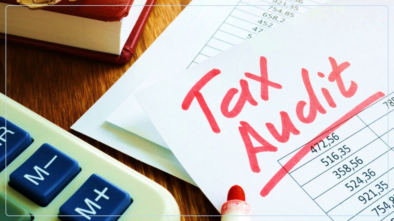Tax Audit Utility Updated: Please Cross Check before Filing