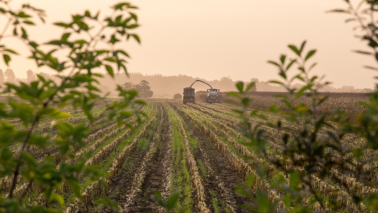 CBIC exempts Agriculture Infrastructure and Development Cess of 5% for certain goods, effective from February 20, 2024 [Read Notification]