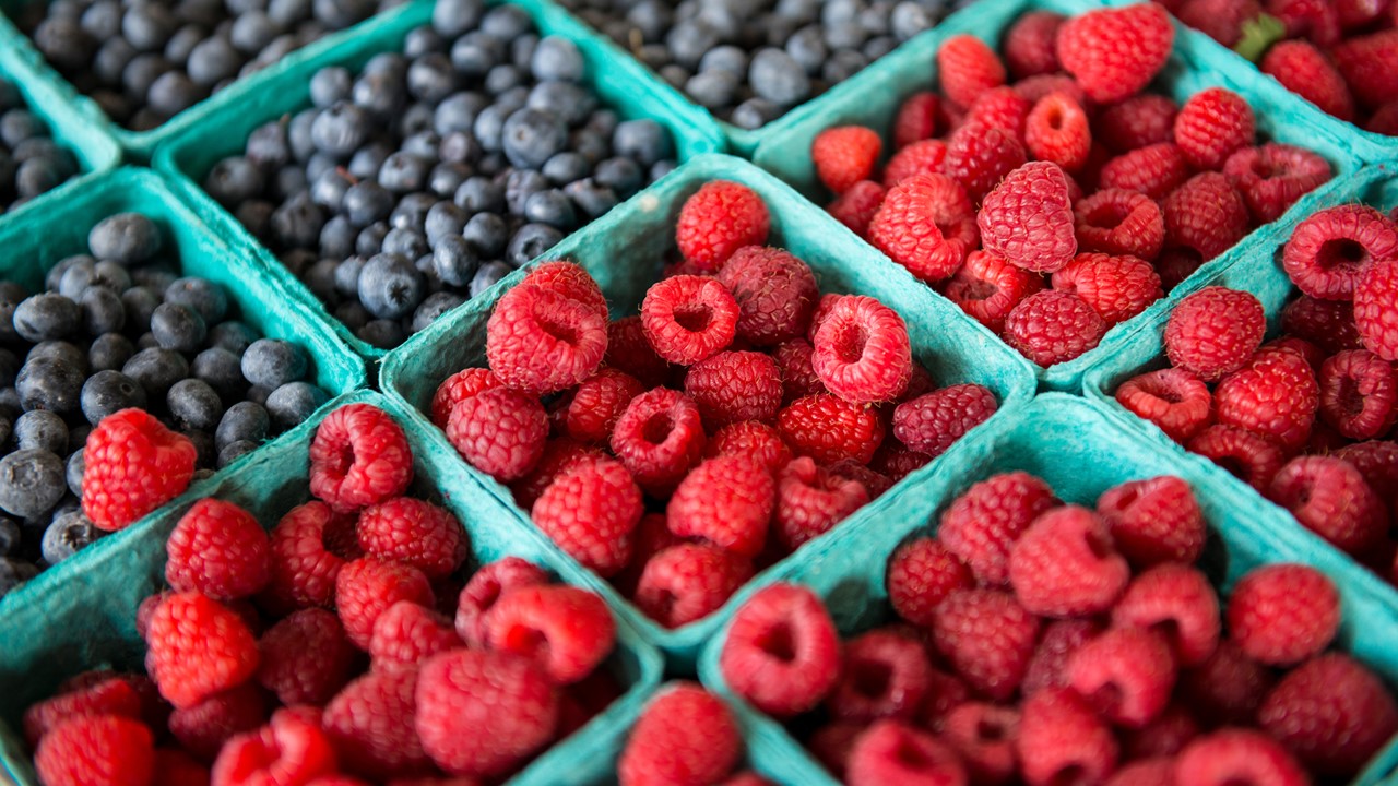 Custom Duty Rate for Meat, Cranberries, Blueberries Revised [Read Notification]