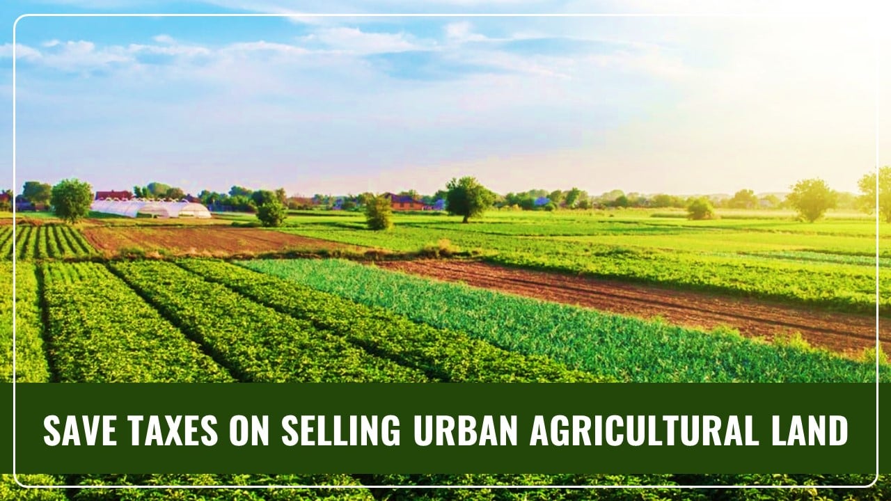 How to save Income Tax on Selling Urban Agricultural Land; Know Here