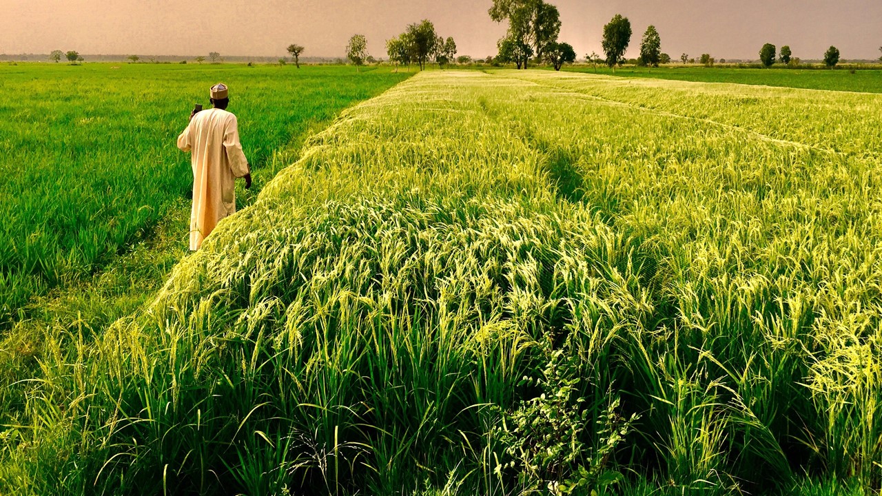 Karnataka Farmers Appeal for GST Exemption on Agricultural Equipment and Loan Relief