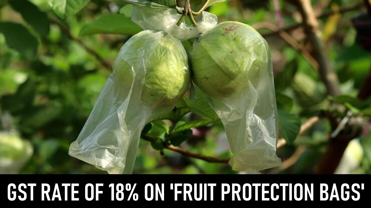 GST Rate of 18% on 'Fruit Protection Bags' Made From Kraft Paper: AAR