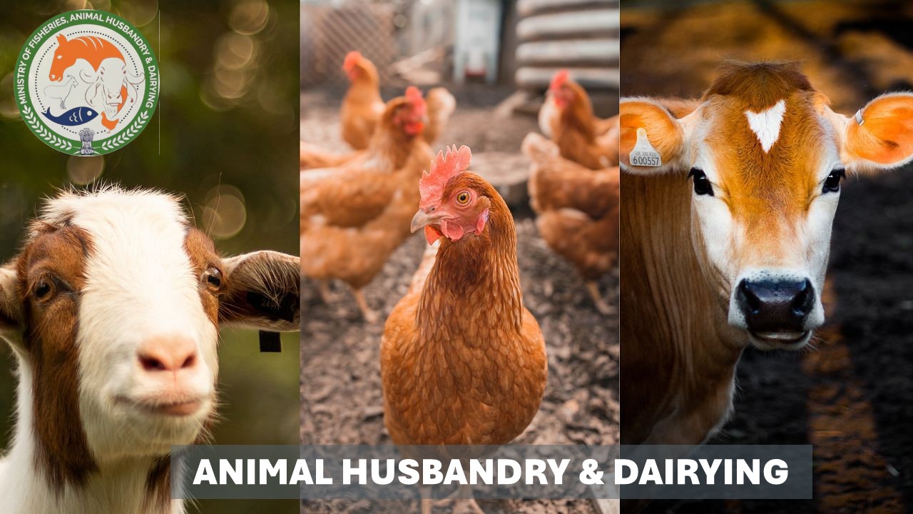 CBDT Notifies Specified Income Exemptions for the Credit Guarantee Fund Trust for Animal Husbandry