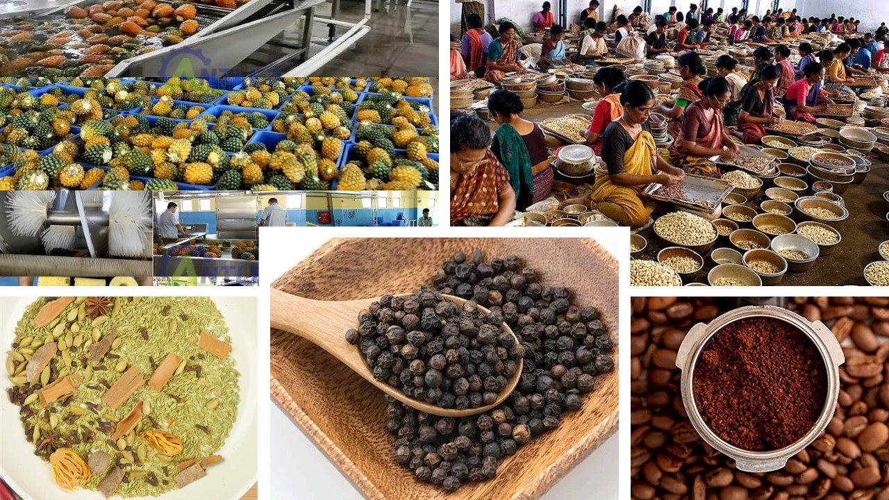 GST Cuts to Boost Kerala’s Spice, Coir, and Food-Processing Industries