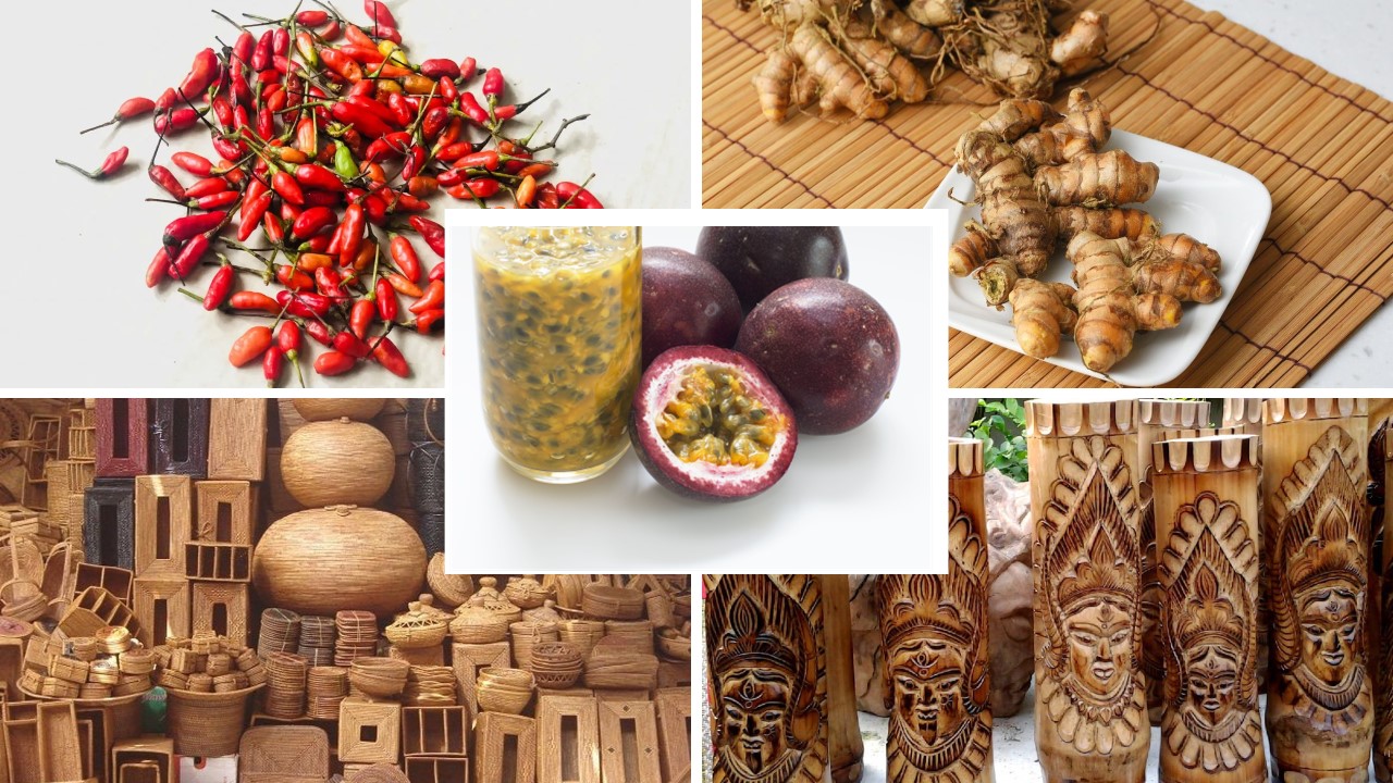 Tax Reforms Fuel Growth in Mizoram’s Organic and Eco-Friendly Sectors