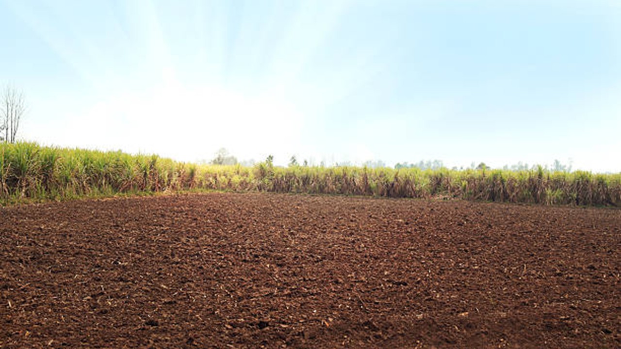 ITAT Upholds Section 263 Revision: FMV of Land Valuation Found Unsupported and Unverified