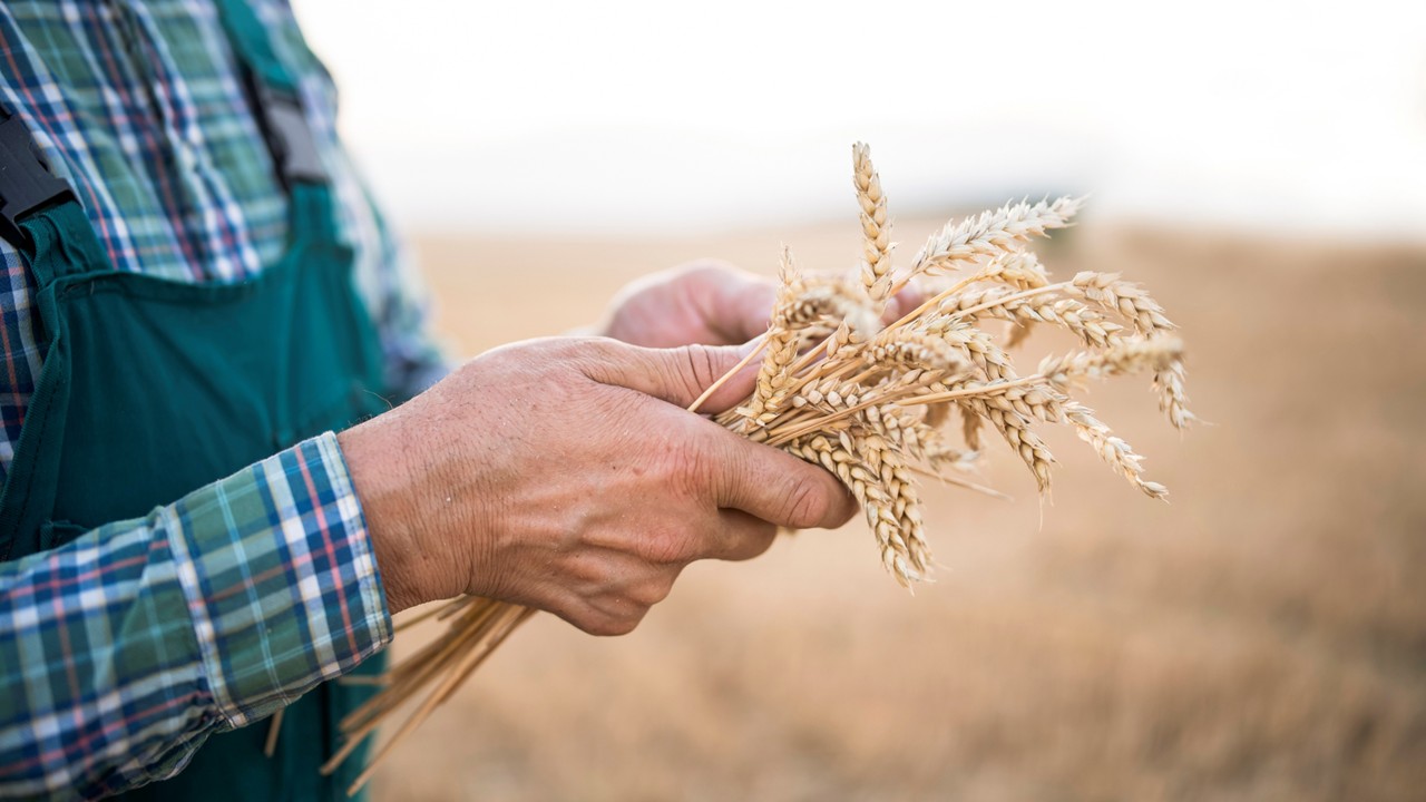 ITAT Revives Farmer’s Appeal Dismissed for Non-Compliance; 438-Day Delay Condoned